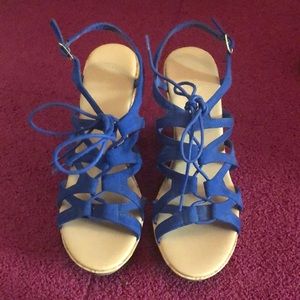 Brand new never worn blue wedges